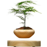Wooden Levitating Planter - AVENUE 72